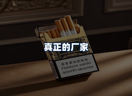 专业团队办公环境